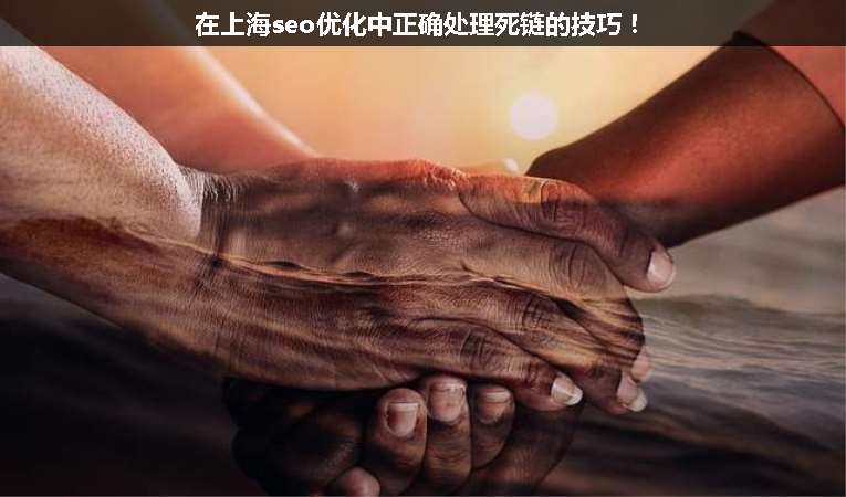 在上海seo優(yōu)化中正確處理死鏈的技巧！
