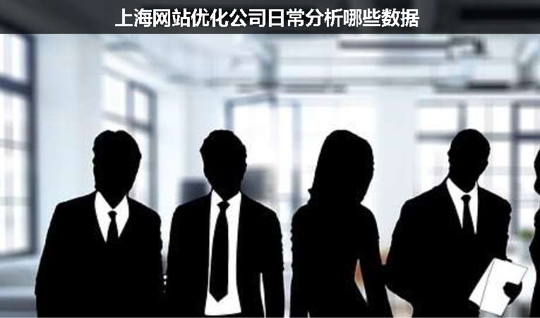 上海網站優(yōu)化公司日常分析哪些數(shù)據