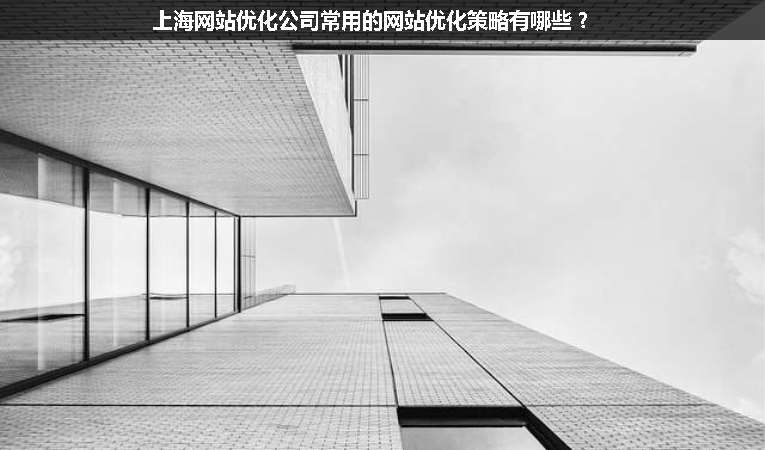 上海網(wǎng)站優(yōu)化公司常用的網(wǎng)站優(yōu)化策略有哪些？