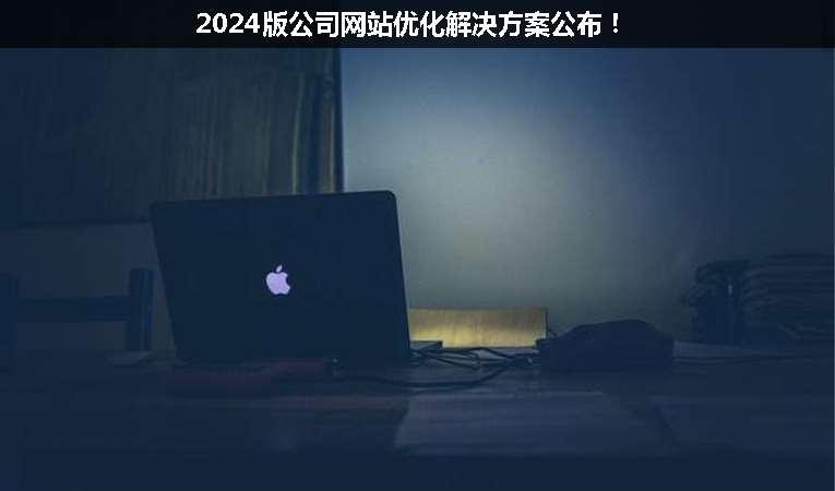 2024版公司網(wǎng)站優(yōu)化解決方案公布！