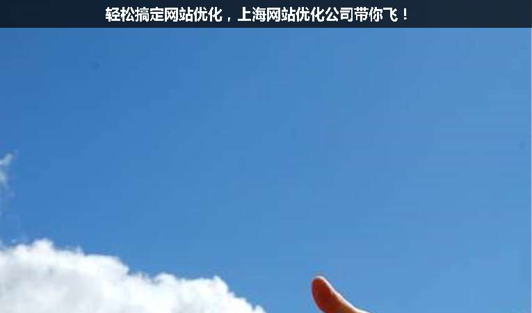 輕松搞定網(wǎng)站優(yōu)化，上海網(wǎng)站優(yōu)化公司帶你飛！