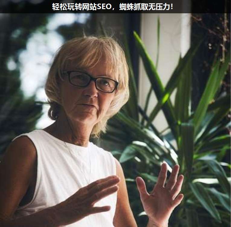 輕松玩轉(zhuǎn)網(wǎng)站SEO,蜘蛛抓取無(wú)壓力!