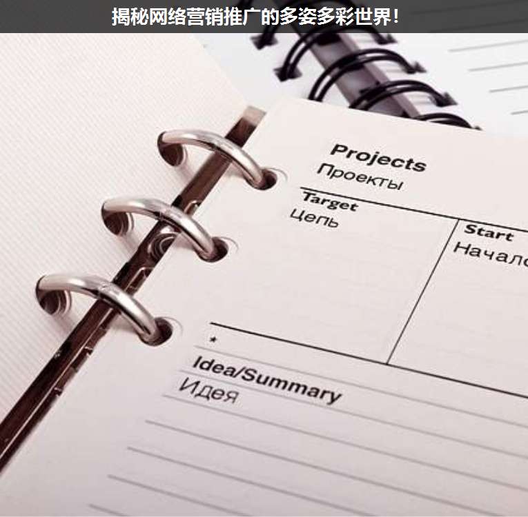 揭秘網絡營銷推廣的多姿多彩世界!
