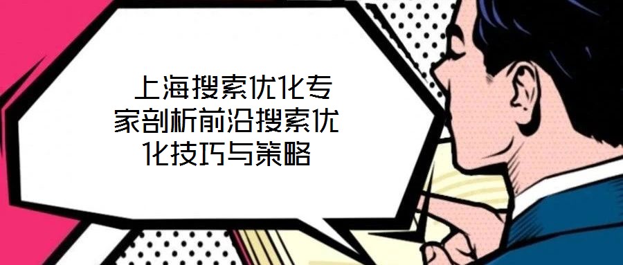  上海搜索優(yōu)化專家剖析前沿搜索優(yōu)化技巧與策略
