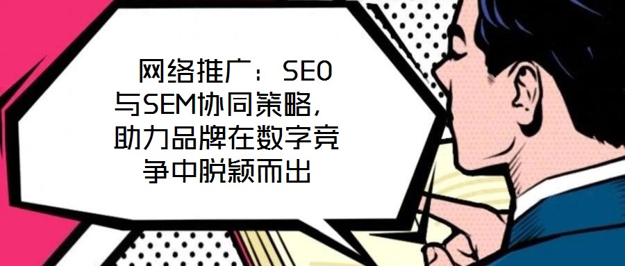  網(wǎng)絡(luò)推廣：SEO與SEM協(xié)同策略，助力品牌在數(shù)字競爭中脫穎而出