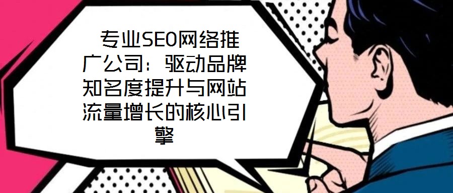  專業(yè)SEO網(wǎng)絡(luò)推廣公司：驅(qū)動(dòng)品牌知名度提升與網(wǎng)站流量增長(zhǎng)的核心引擎