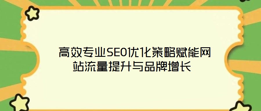  高效專業(yè)SEO優(yōu)化策略賦能網(wǎng)站流量提升與品牌增長