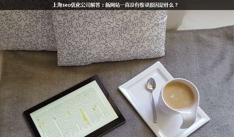 上海seo優(yōu)化公司解答：新網(wǎng)站一直沒(méi)有收錄原因是什么？